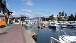 Découvrir les merveilles de l’île de la Réunion Découvrir les merveilles de l’île de la Réunion