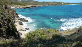 Les meilleurs moyens de découvrir la Martinique Les meilleurs moyens de découvrir la Martinique