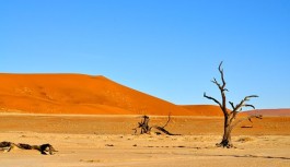 Les sites namibiens à explorer lors d’un circuit de découverte Les sites namibiens à explorer lors d’un circuit de découverte