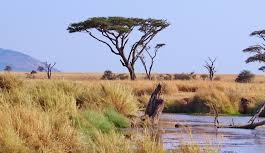Les particularités d’un voyage en Tanzanie Les particularités d’un voyage en Tanzanie
