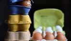 Les bienfaits des œufs bio pour la santé et la silhouette Les bienfaits des œufs bio pour la santé et la silhouette