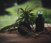 Quels sont les bienfaits de l’utilisation du CBD ? Quels sont les bienfaits de l’utilisation du CBD ?